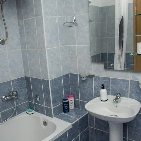 Apartment Vesna *